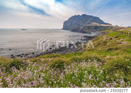 Seongsan Ilchulbong, Jeju, South Korea 25038277
