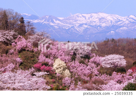 Hanamiyama Park 25039335