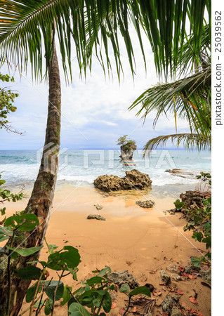 Beach in Manzanillo Costa Rica 25039562