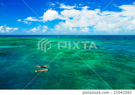 Snorkeling in Great barrier reef 25042082