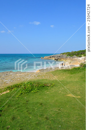 老年夫婦和美麗的大海 25042724