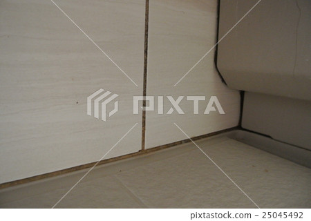 Real! Mildew of the bathroom Real! Mildew of the bathroom 25045492