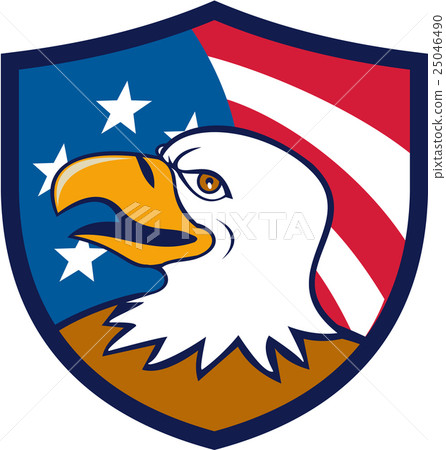 Bald Eagle Smiling USA Flag Crest Cartoon 25046490
