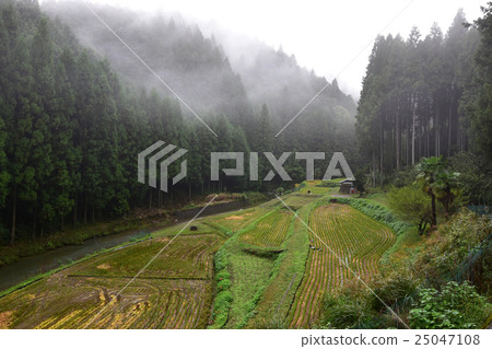 Satoyama landscape with harvest 25047108