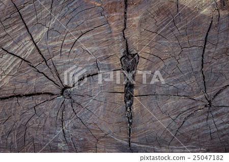 annual ring wood crack damage texture background annual ring wood crack damage texture background 25047182