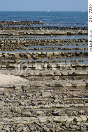 Nichinan coast demon's washboard Nichinan coast demon's washboard 25047820