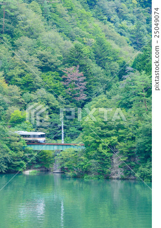 Iida line running along the deep green Tenryu River 373 Series Limited Express Wide View Ina Route 25049074