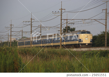 Waku Dream using series 583 25051551