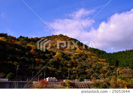 Autumn leaves of Sasawura Town Naruto dam Autumn leaves of Sasawura Town Naruto dam 25051644