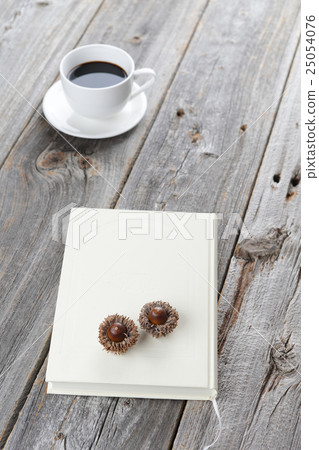 閱讀每週戶外圖像 25054076