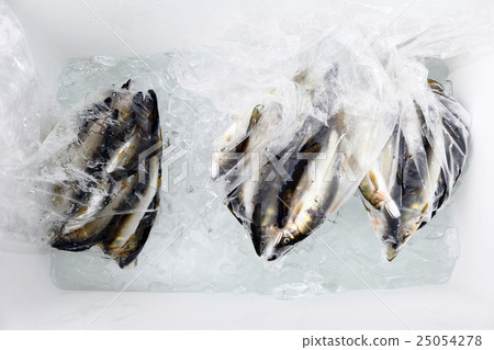 冷卻箱Ayu 25054278