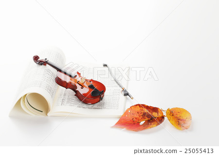 Fall of violin and score and dead leaves art (Instrument edition) Fall of violin and score and dead leaves art (Instrument edition) 25055413
