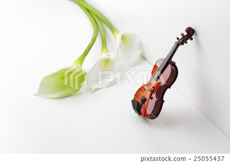 Simple life image with violin and color flowers 25055437