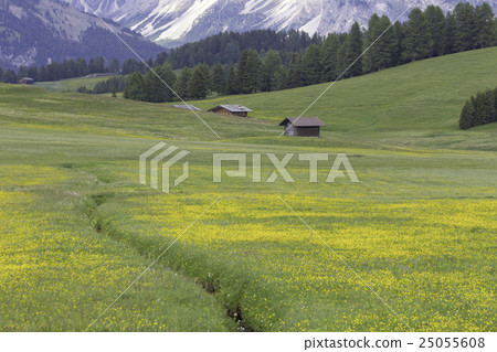 Passo Sella, Dolomite Mountains, Italy 25055608