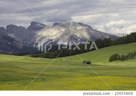 Passo Sella, Dolomite Mountains, Italy Passo Sella, Dolomite Mountains, Italy 25055609