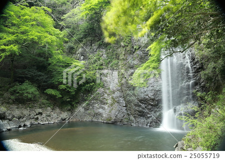 Fresh green and falls 25055719