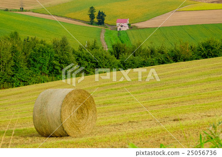 Shou Biei (432) 25056736