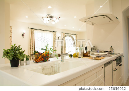 Fashionable kitchen 25056912