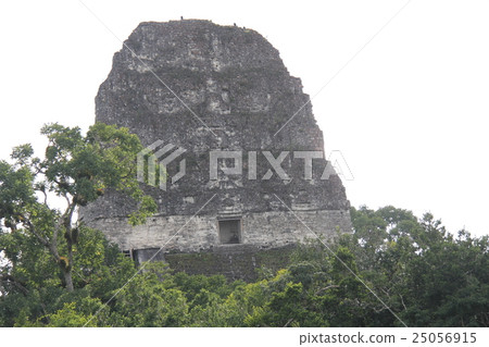 Temple No.5 Head 25056915