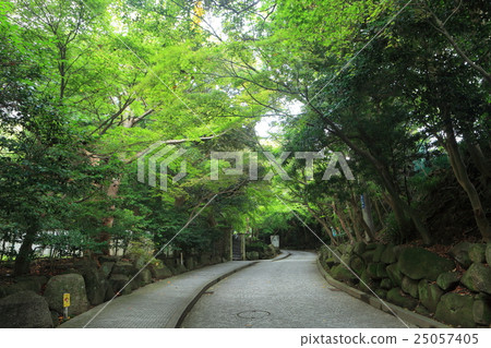 鎌倉文學館入口 25057405