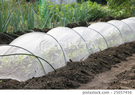 Agricultural materials Agricultural materials 25057456