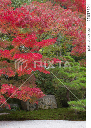 Nenzenji Tensenan秋葉 25057894