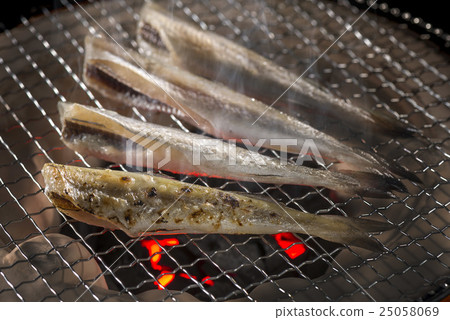 魚在冰下 魚在冰下 25058069
