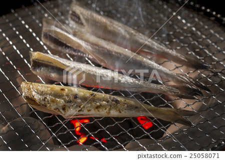 Fish under ice 25058071