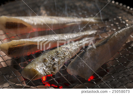 Fish under ice Fish under ice 25058073