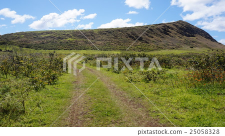 永遠持續的草原的路徑 25058328