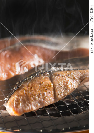 salmon salmon 25058363