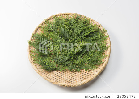 Hiifuba Hiifuba 25058475