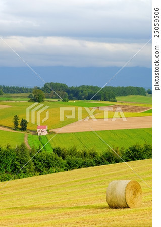 Shou Biei (442) 25059506