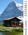 Eiger north wall 25059811