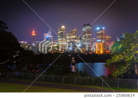 Illuminated Sydney City at Night 25060614