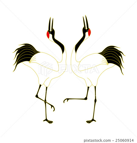 A couple of cranes cranes performing courtship dance 25060914