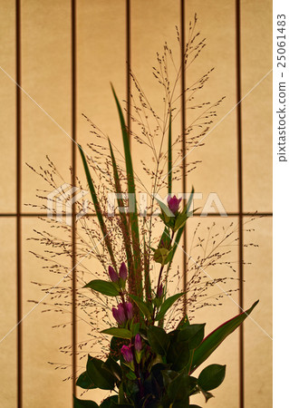 Lattice and Ikebana feeling sum 25061483