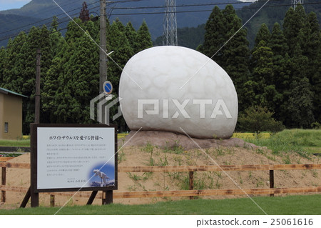 白蛋及其周圍[福井縣胜山市恐龍博物館] 25061616