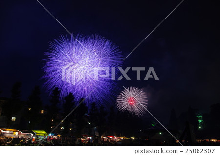 岡崎城堡家康公共夏季節日煙花匯演 25062307
