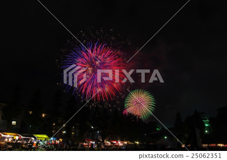 岡崎城堡家康公共夏季節日煙花匯演 25062351