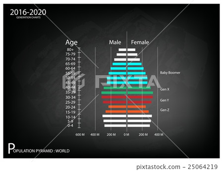 2016-2020 Population Pyramids with 4 Generation 25064219