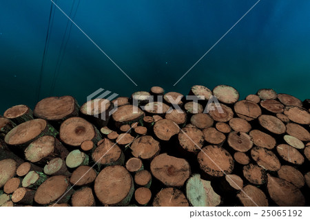 tree stumps background 25065192