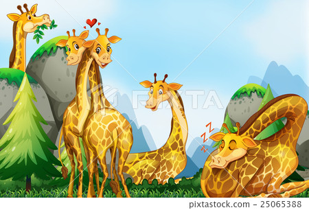 Many giraffes in the field Many giraffes in the field 25065388