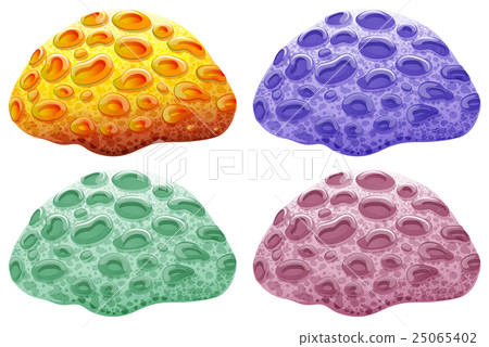 Sponge in four different colors Sponge in four different colors 25065402