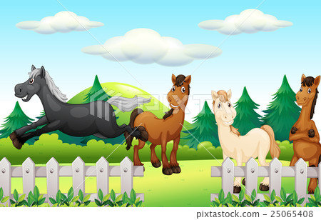Four horses running the park Four horses running the park 25065408