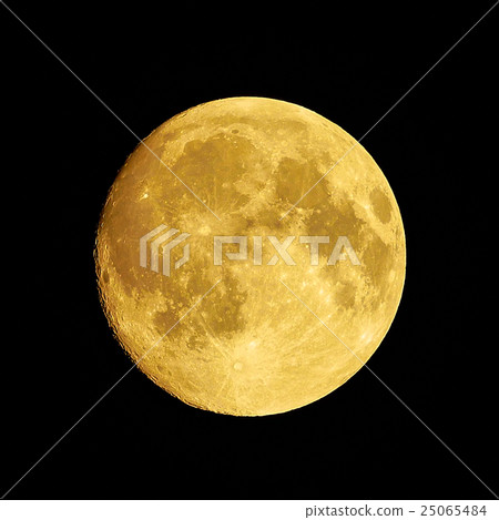 滿月 滿月 25065484
