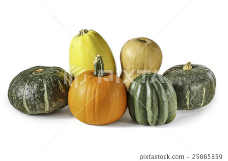 Various types of pumpkin 25065859