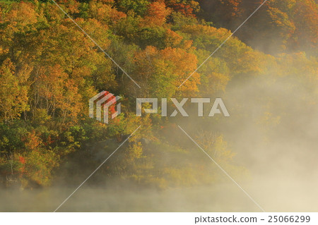 Hakkoda Cypress Jell Pond Hakkoda Cypress Jell Pond 25066299