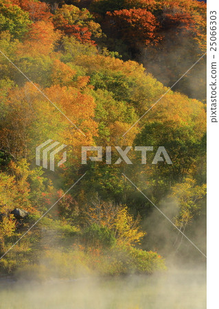 Hakkoda Cypress Jell Pond 25066303