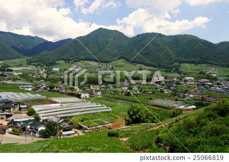 山梨縣甲州市勝沼鎮Hishizan風景 山梨縣甲州市勝沼鎮Hishizan風景 25066819